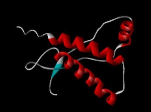 BSE Prion